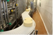 Международная компания по производству сыров*